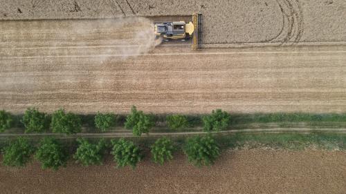 DJI_3637.JPG